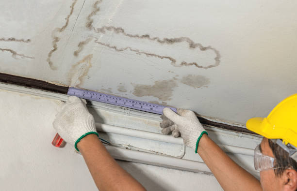 Reliable Water Damage contractor in Lubbock, TX by Water Damage Irwin